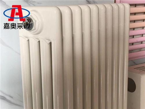 武穴QFGZ409鋼制柱式散熱器綜合性能檢測報告